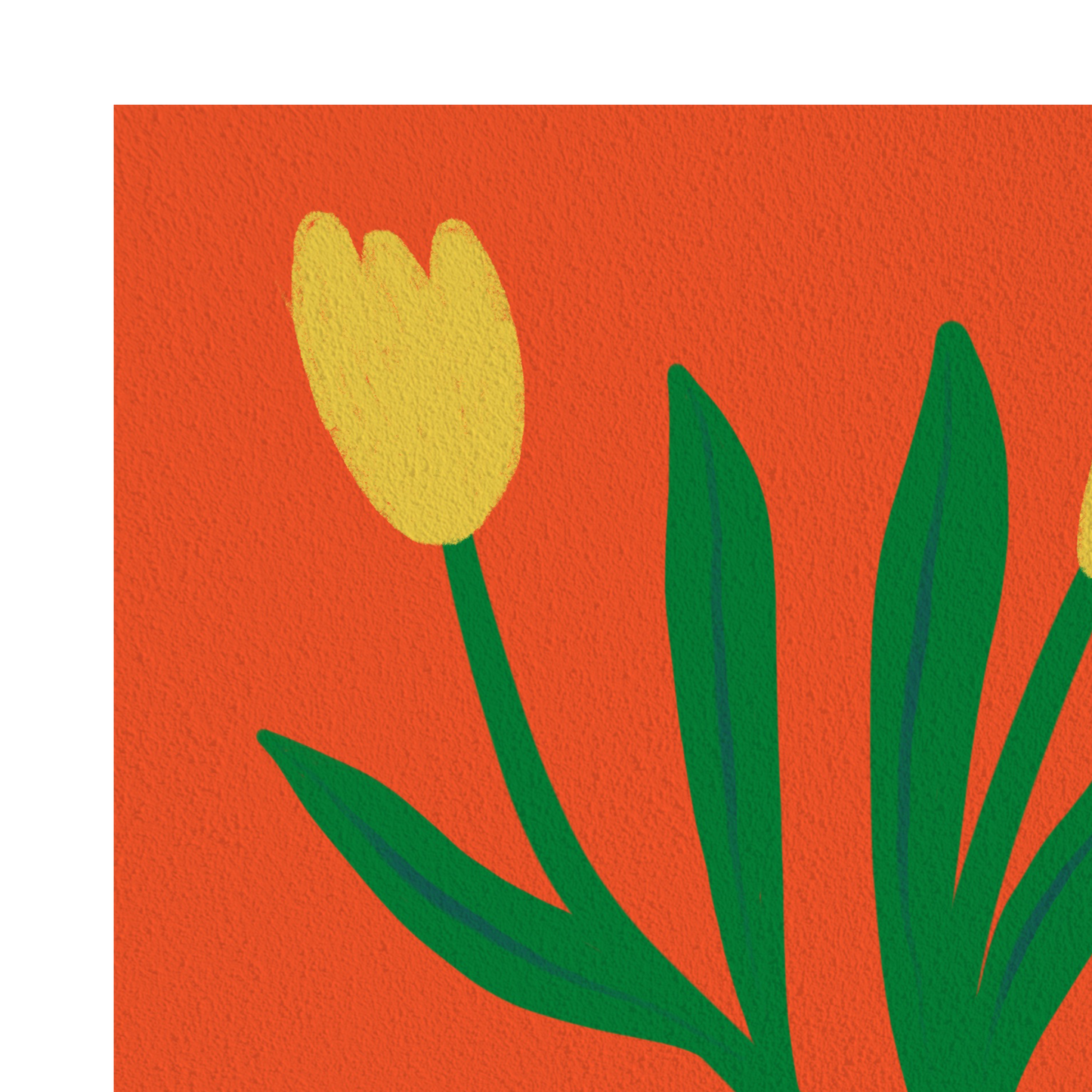 Tulip Art Print